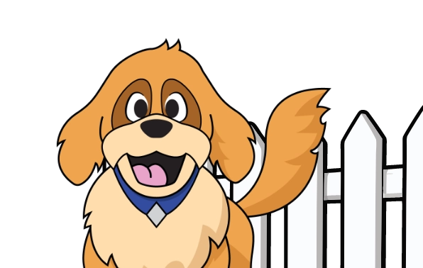 Cooper the dog